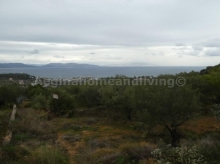 Land plot with sea view  - Aegina Home and Living